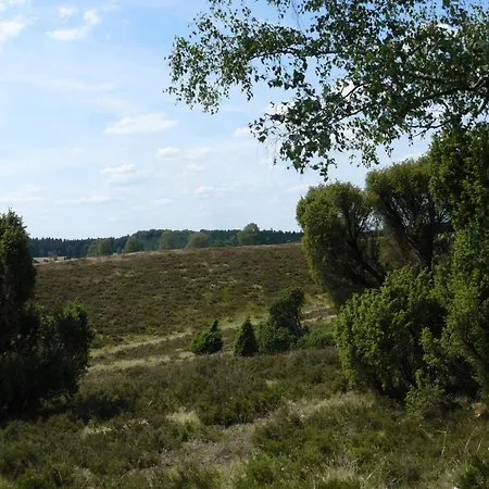 In In The L Neburg Heath With A View Of The Countryside
