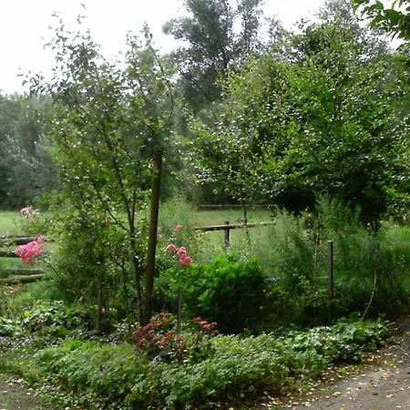 In In The L Neburg Heath With A View Of The Countryside Ferienhaus