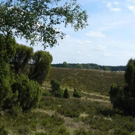 In In The L Neburg Heath With A View Of The Countryside Wietzendorf